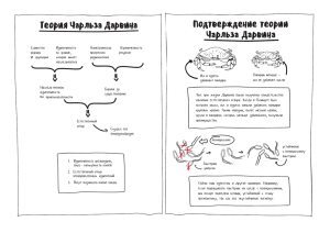 Конспект лекции 10.3 MB