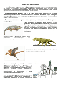 ДОКАЗАТЕЛСТВА ЭВОЛЮЦИИ. Для обоснования теории