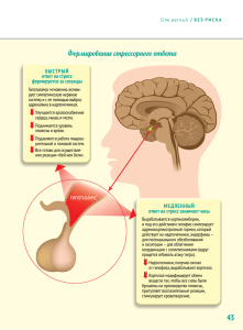 Формирование стрессорного ответа