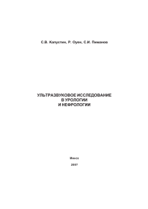 С.В. Капустин, Р. Оуен, С.И. Пиманов