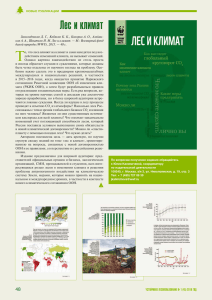 Лес и климат - Всемирный фонд дикой природы