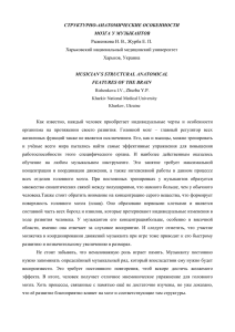 СТРУКТУРНО-АНАТОМИЧЕСКИЕ ОСОБЕННОСТИ МОЗГА У МУЗЫКАНТОВ Рыженкова