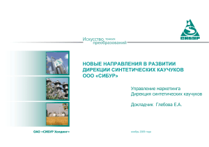 Сибур Новы направления в развитии Дирекции СК [только чтение]