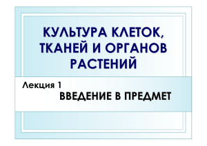 КУЛЬТУРА КЛЕТОК , ТКАНЕЙ