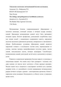 Этиология и патогенез мочекаменной болезни плотоядных Акмалова Э.А