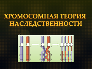 10.Клочко Алена.Хромосомная теория наследственности