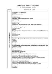 Митоз. Мейоз. Онтогенез. Генетика. Селекция.