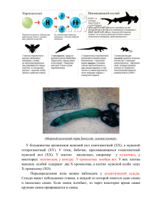 У большинства организмов женский пол гомогаметный (ХХ), а