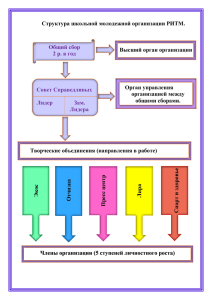 Структура школьной молодежной организации РИТМ. Высший