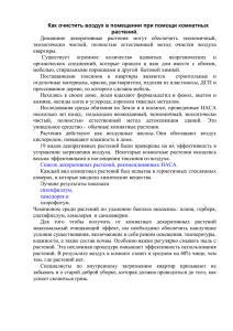 Как очистить воздух в помещении при помощи комнатных