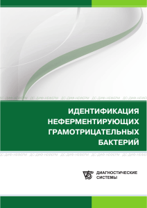 ИДЕНТИФИКАЦИЯ НЕФЕРМЕНТИРУЮЩИХ ГРАМОТРИЦАТЕЛЬНЫХ БАКТЕРИЙ