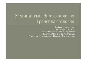 Работу выполнила: Ученица 11 класса МБОУ гимназии №6 г