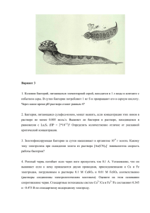 Вариант 3 1. Колония бактерий, питающихся элементарной