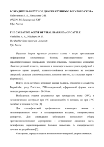 ВОЗБУДИТЕЛЬ ВИРУСНОЙ ДИАРЕИ КРУПНОГО РОГАТОГО СКОТА Набиуллина А. А.,