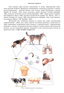 Биология паразита - polysalov.vipvrach.ru