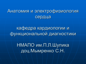 Анатомия проводящей системы