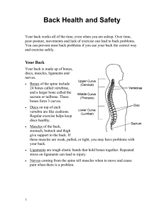 Здоровье и безопасность спины - Health Information Translations