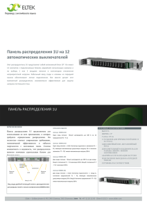 Панель распределения 1U на 12 автоматических выключателей