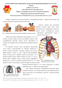 ТОПОГРАФИЧЕСКИЕ ОРИЕНТИРЫ СЕРДЦА ПРИ ПРОВЕДЕНИИ НЕПРЯМОГО МАССАЖА СЕРДЦА Гейбович Л.Д. (316 гр.)
