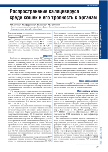 Распространение калицивируса среди кошек и его тропность к органам Т.И. Глотова