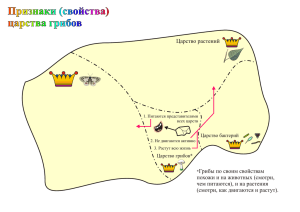 Признаки (свойства) царства грибов