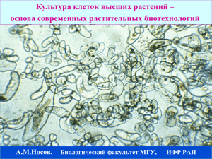 Культура клеток высших растений – основа современных