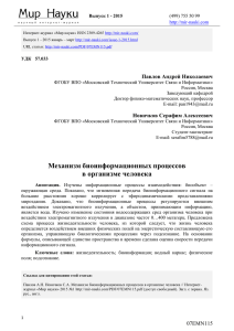 Механизм биоинформационных процессов в организме человека