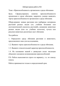 Лабораторная работа №1 Тема: «Приспособленность