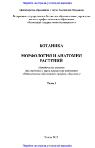 Ботаника. Морфология и анатомия растений. Ч.2 методические