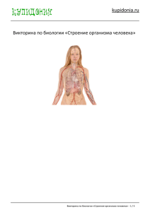 Викторина по биологии «Строение организма