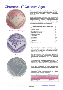 Chromocult Coliform Agar