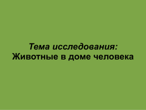 Тема исследования: Животные в доме человека