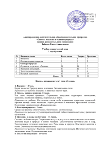 Адаптированная дополнительная общеобразовательная