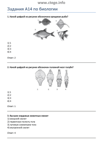Задания А14 по биологии