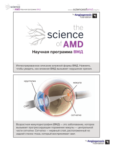 Научная программа ВМД