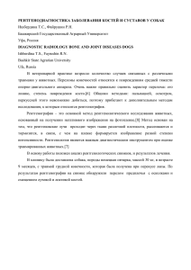 РЕНТГЕНОДИАГНОСТИКА ЗАБОЛЕВАНИЯ КОСТЕЙ И СУСТАВОВ У СОБАК