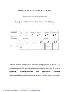 Презентация по материалам тем для 1 блока