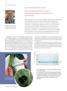 биореакторы белков медицинского назначения