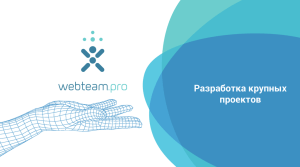 Информация о компании Webteam.pro