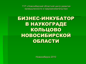 БИЗНЕС-ИНКУБАТОР в наукограде Кольцово НСО