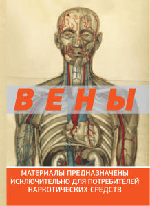 Вены