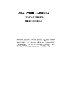 АНАТОМИЯ ЧЕЛОВЕКА Рабочая тетрадь Приложение 2