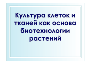 Культуры клеток и тканей растений.