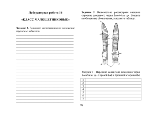 Лабораторная работа_16_Класс Малощетинковые