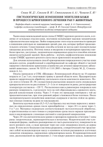 Спыну М. Д., Соколов В. И., Стекольников А. А., Чумасов Е. И