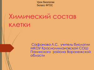 Урок №4 Химический состав клетки