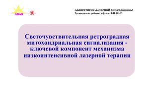 Что такое митохондриальная ретроградная сигнализация?