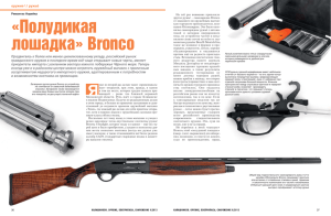 Полудикая лошадка» Bronco