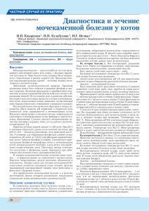 Диагностика и лечение мочекаменной болезни у котов