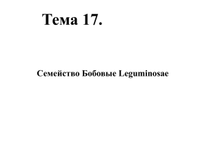 Тема 17. Семейство Бобовые Leguminosае